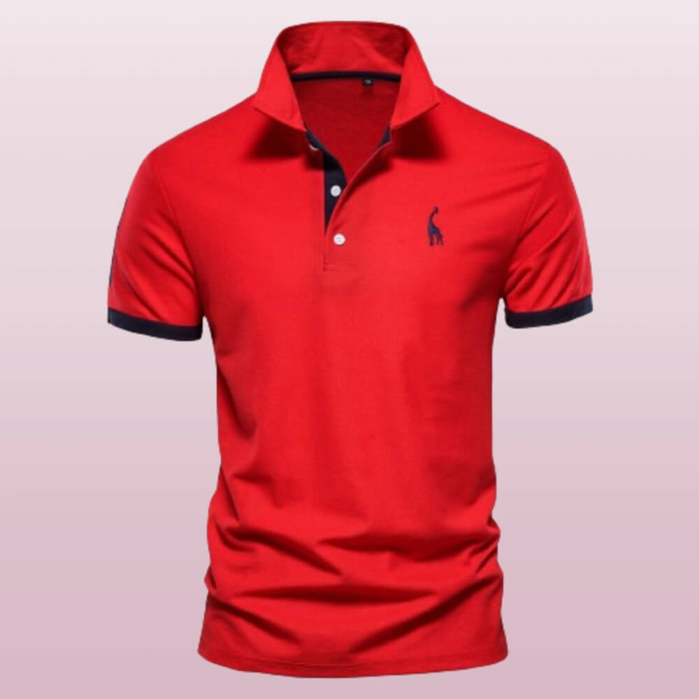 David™ | Polo moderne pentru bărbați